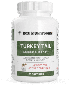 Turkey Tail Mushroom Capsules
