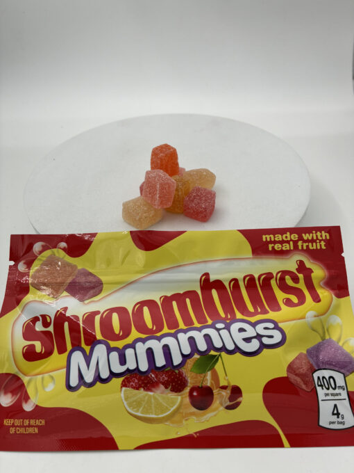 Shroomburst Gummies – Assorted fruit-flavored mushroom gummies in a colorful pouch
