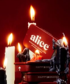 "Vegan libido chocolate with Cordyceps and herbs for sexual wellness - Alice Mushrooms Happy Ending"