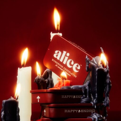 "Vegan libido chocolate with Cordyceps and herbs for sexual wellness - Alice Mushrooms Happy Ending"