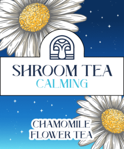 Magic Mushroom Tea